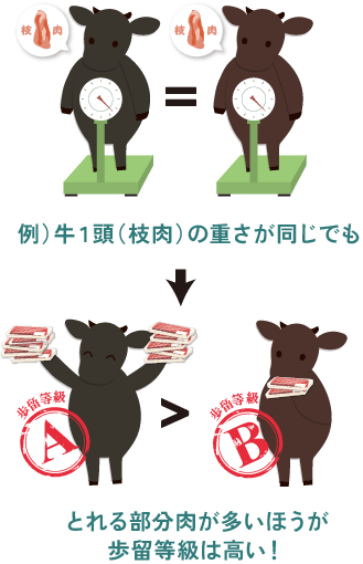 歩留等級説明イラスト