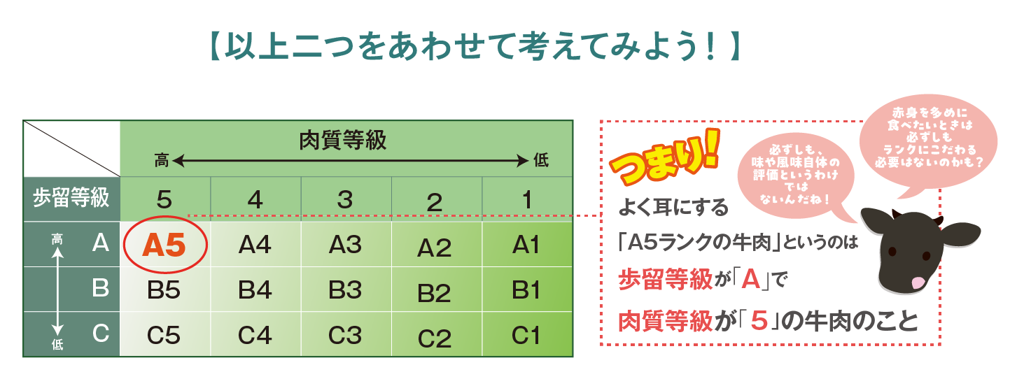 つまり、よく耳にする「A5ランク」というのは、歩留等級がAで、肉質等級が5の肉のこと